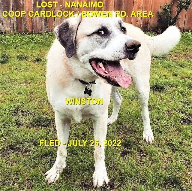 HAPPY ENDINGS - NANAIMO BC. / WINSTON / JULY 26, 2022