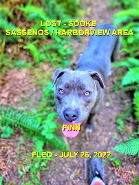 HAPPY ENDINGS - SOOKE BC. / FINN / JULY 23, 2022