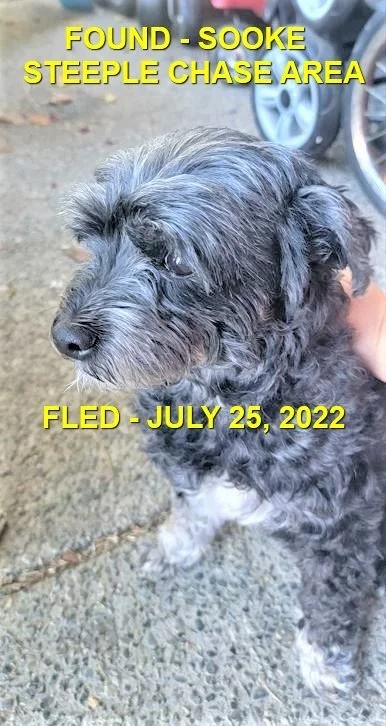 HAPPY ENDINGS - SOOKE BC. /  JULY 25, 2022