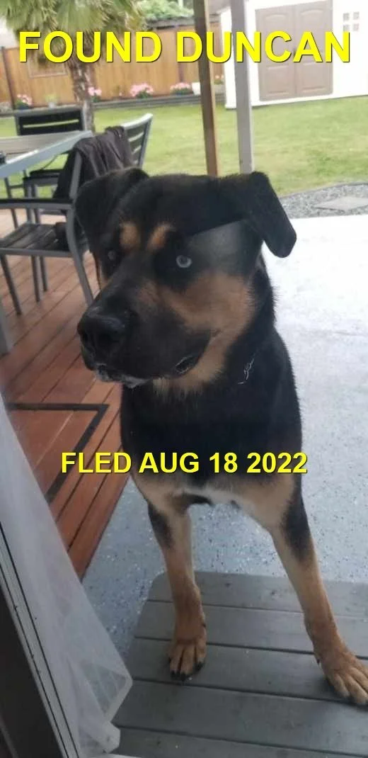 HAPPY ENDING - DUNCAN BC / BLUE / AUG. 20, 2022