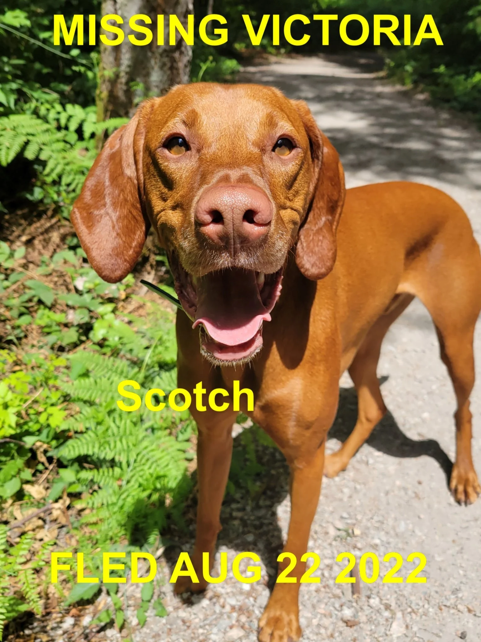 HAPPY ENDINGS - VICTORIA BC. / SCOTCH / AUG. 22, 2022