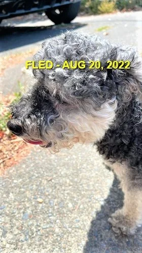 HAPPY ENDINGS - VICTORIA BC. / AUG. 20, 2022