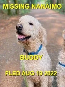 HAPPY ENDINGS - NANAIMO BC. / BUDDY / AUG. 19, 2022