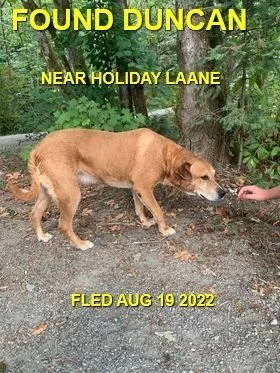 HAPPY ENDINGS - DUNCAN BC. / AUG. 19, 2022