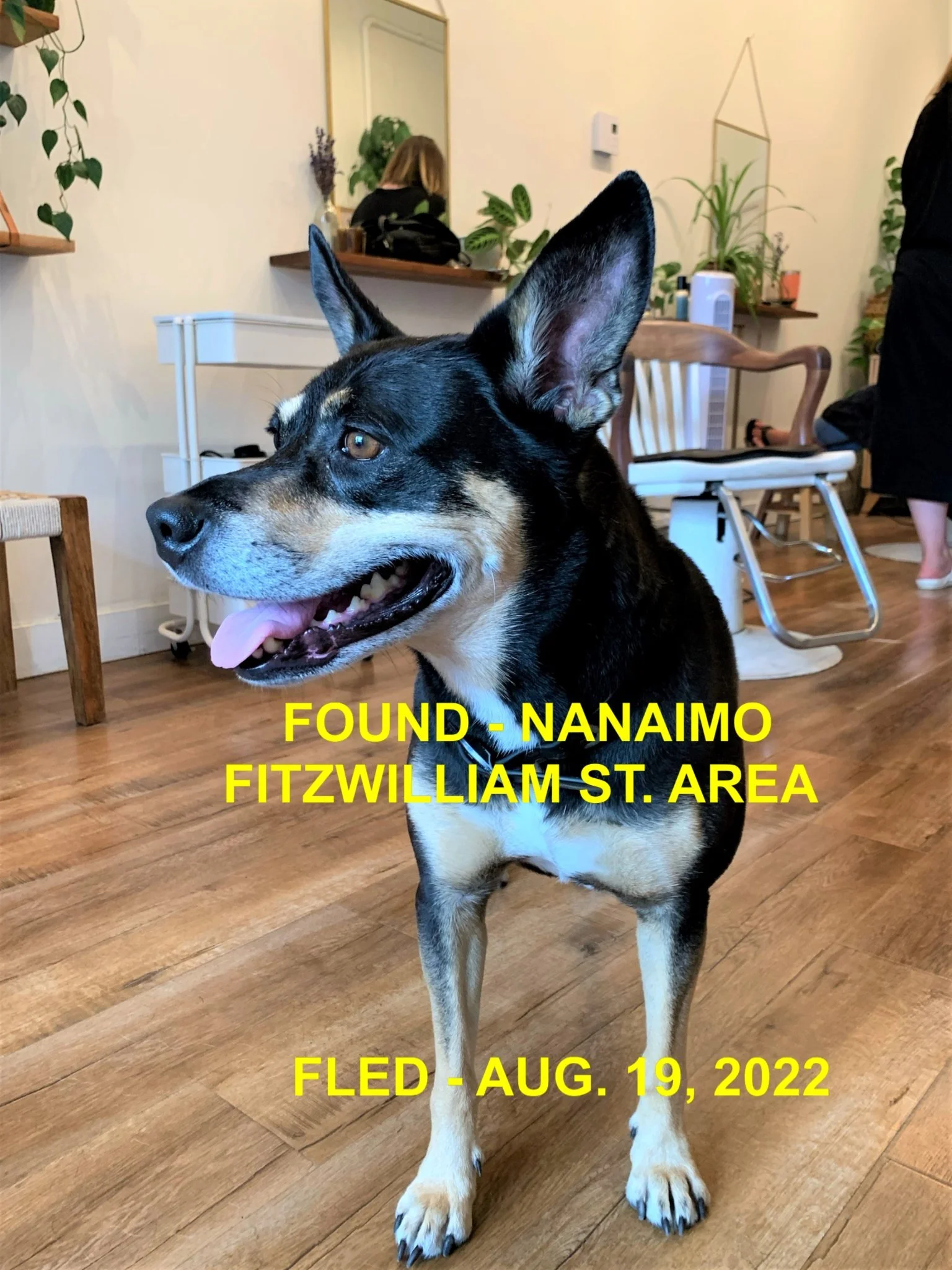 HAPPY ENDINGS - NANAIMO BC. / AUG. 19,  2022