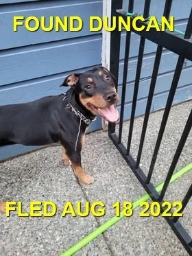 HAPPY ENDINGS - DUNCAN BC. / AUG. 18, 2022