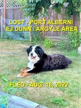 HAPPY ENDING - PORT ALBERNI BC. / GUS / AUG. 17, 2022 