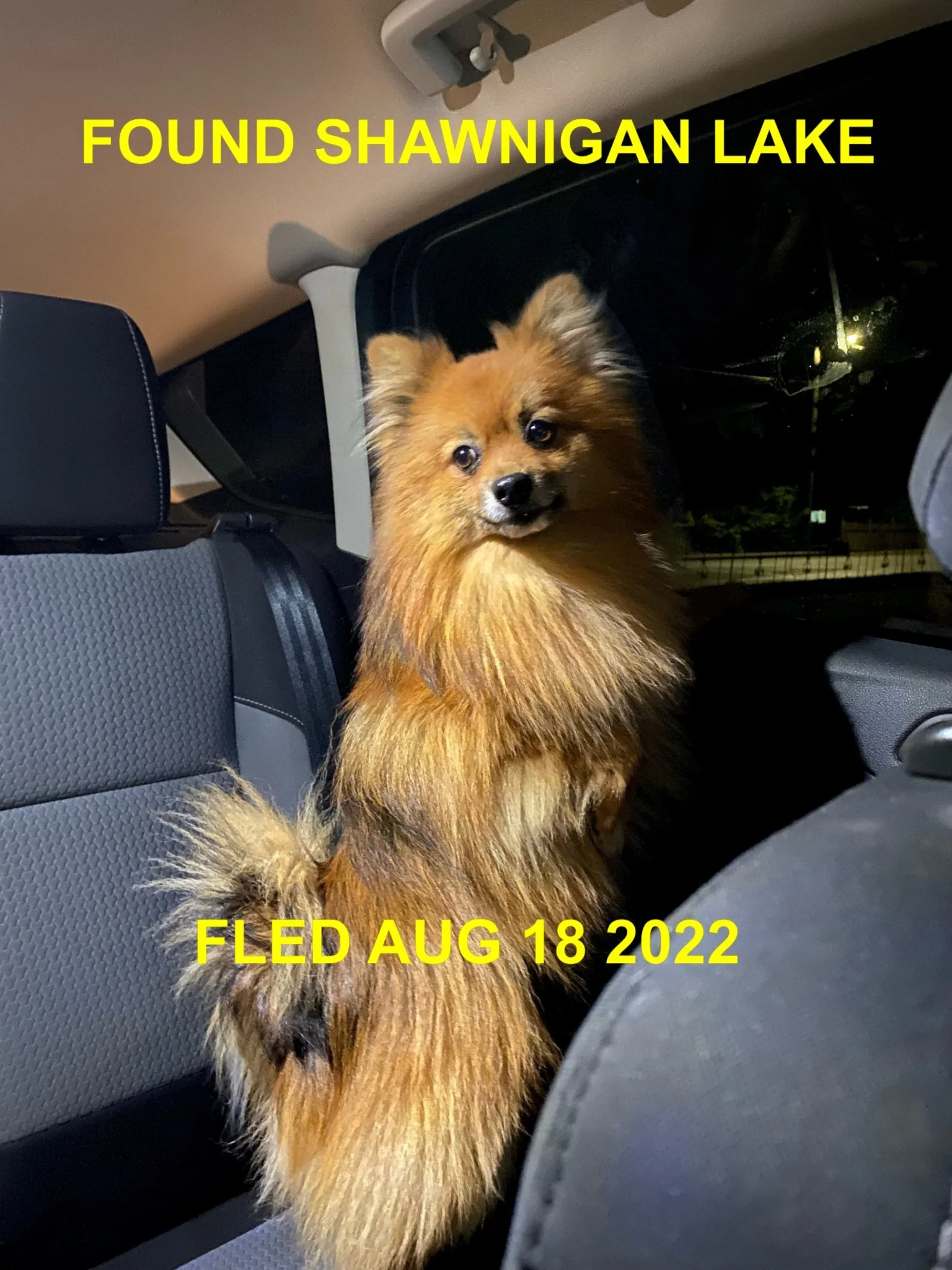 HAPPY ENDINGS - SHAWNIGAN LAKE BC.  / AUG. 18, 2022