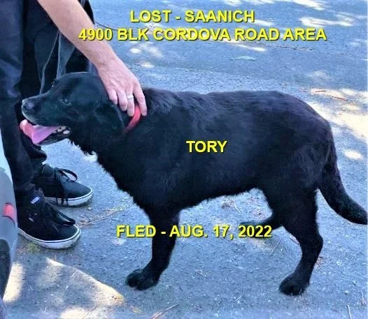 HAPPY ENDINGS (SENIOR) - SAANICH BC. / TORY / AUG 17, 2022