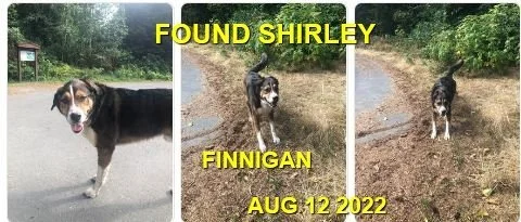 HAPPY ENDINGS - SHIRLEY BC. / FINNIGAN / AUG 12, 2022