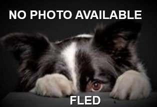 HAPPY ENDINGS / SAFE AT CRD - COLWOOD BC. / SHREDDER &amp; TRIGGER / AUG. 25, 2022