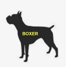 HAPPY ENDINGS - SAANICH BC. / AUG. 24, 2022