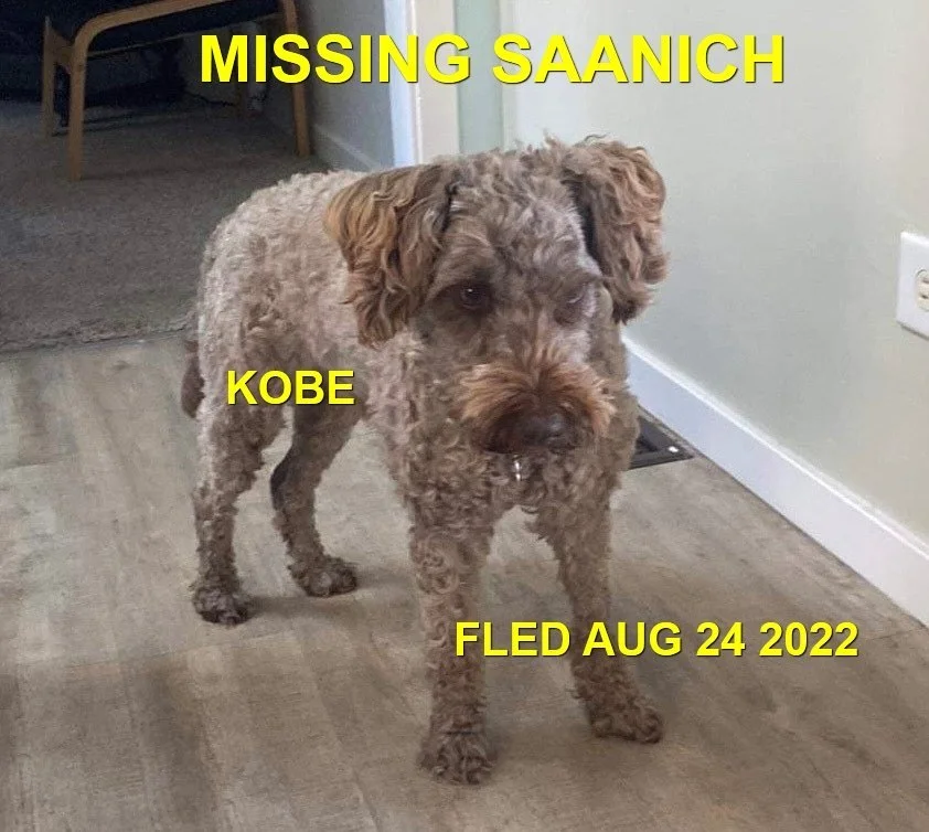 HAPPY ENDINGS - SAANICH BC. / KOBE / AUG. 23, 2022