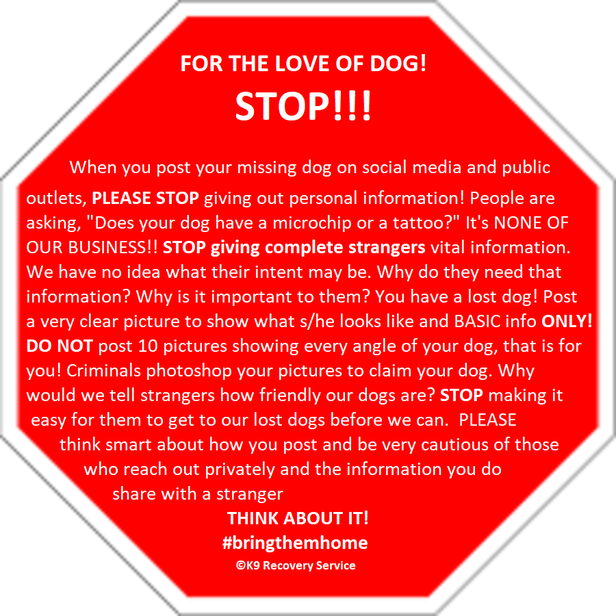 PSA - VERY VALUABLE INFOMATION - LOST DOG INFO / HOW MUCH DO WE REPORT
