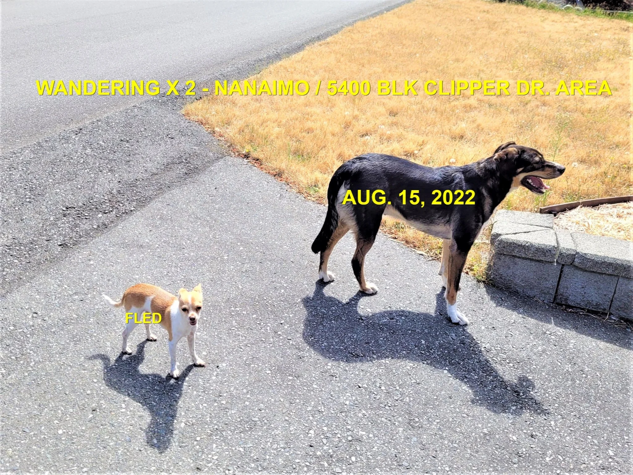 UNRESOLVED - NANAIMO BC. / AUG. 15, 2022
