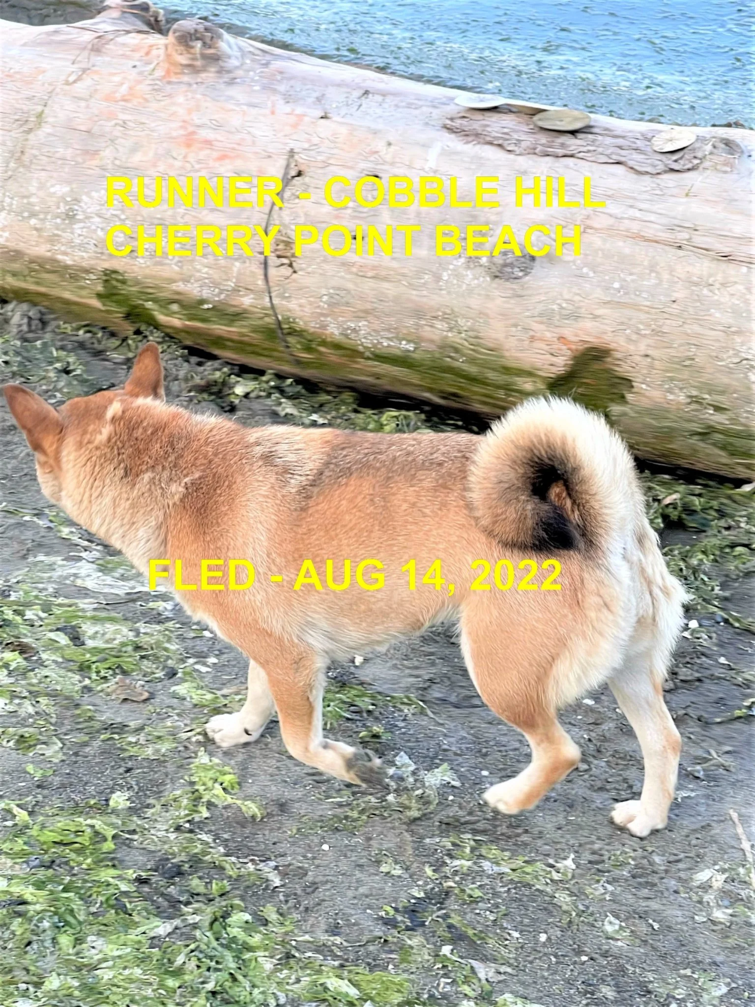 HAPPY ENDINGS - DUNCAN BC. / AUG. 14, 2022