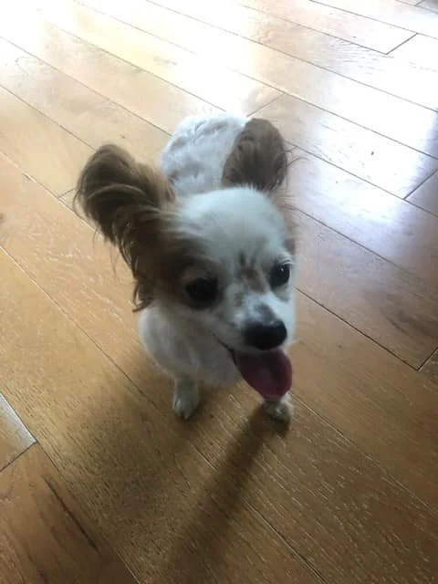 HAPPY ENDINGS - SHAWNIGAN LAKE BC. / AUG 11, 2022