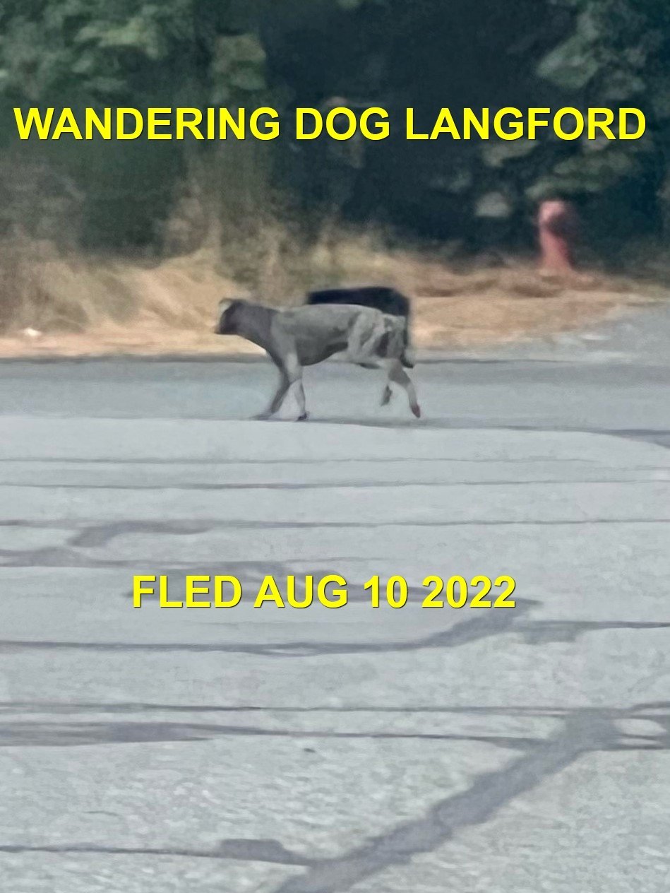 HAPPY ENDINGS - LANGFORD BC. / SEPT. 9, 2022