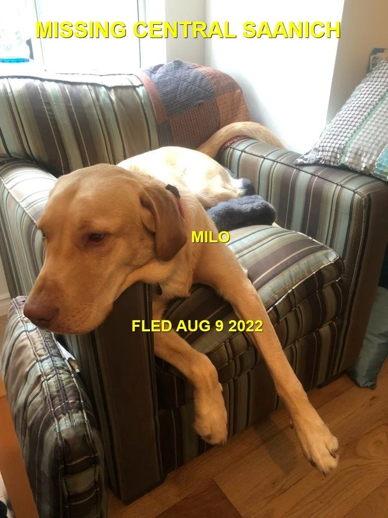 HAPPY ENDINGS - CENTRAL SAANICH BC. / MILO / AUG. 9, 2022