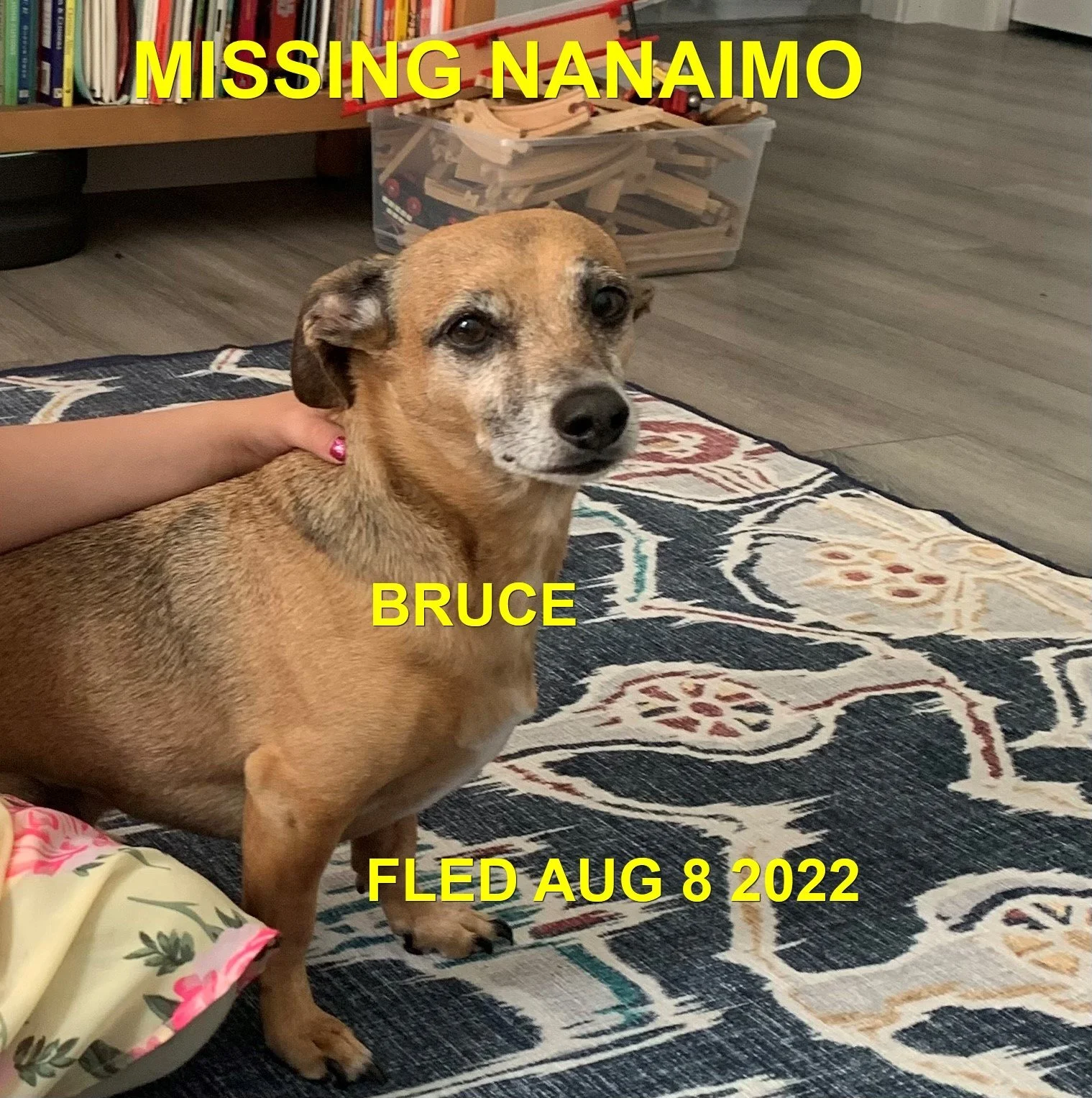 HAPPY ENDINGS - NANAIMO BC. / BRUCE / AUG 8, 2022