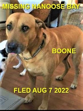 HAPPY ENDINGS -  NANOOSE BAY BC. / BOONE / AUG. 7, 2022