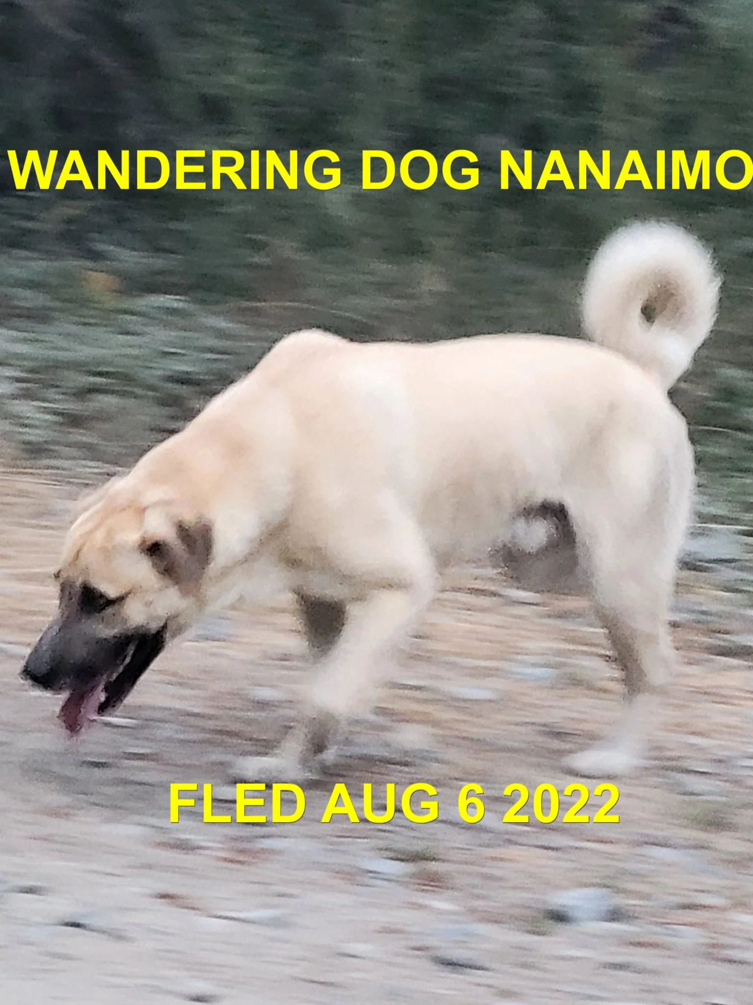 HAPPY ENDINGS - NANAIMO BC. /   AUG. 6, 2022