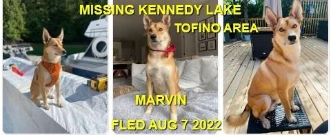 OVER THE RAINBOW BRIDGE - TOFINO BC. / MARVIN / AUG 6, 2022