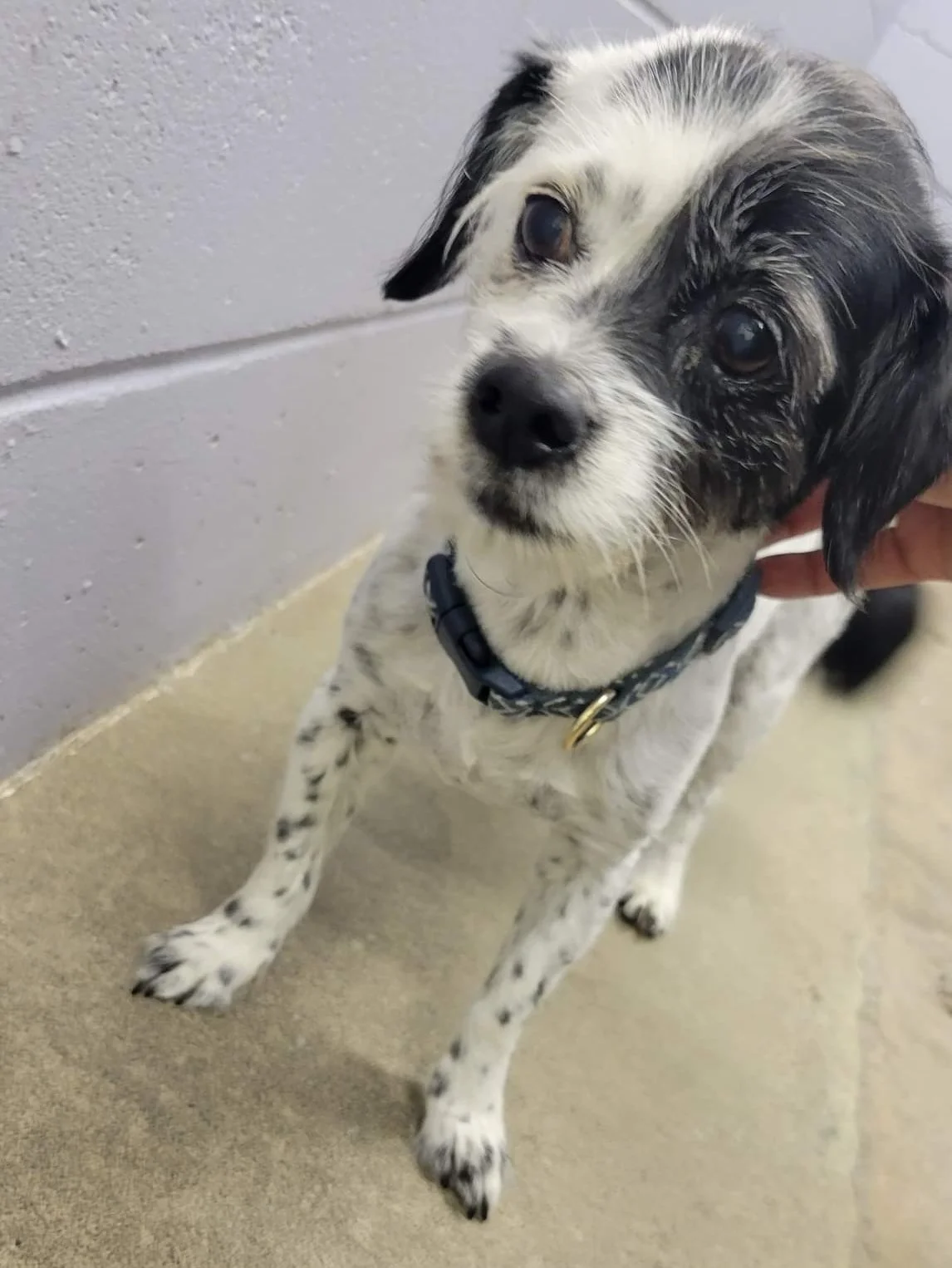 HAPPY ENDINGS - DUNCAN BC. / OREO / AUG 6, 2022