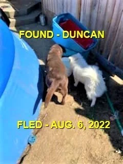 HAPPY ENDINGS - DUNCAN BC. / AUG 6, 2022