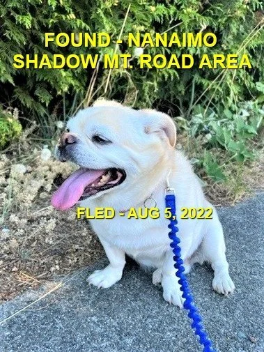 HAPPY ENDINGS - NANAIMO BC. / AUG. 5, 2022