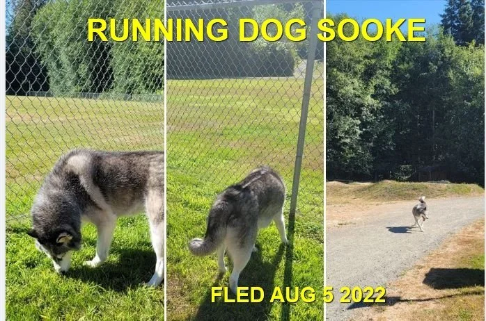 UNRESOLVED - SOOKE BC. / AUG. 5, 2022