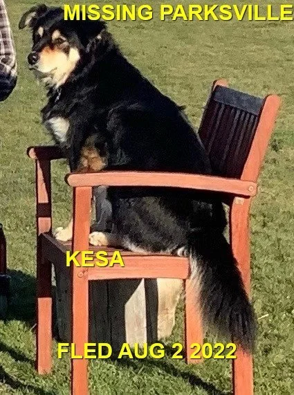 HAPPY ENDINGS - PARKSVILLE BC. / KESA / AUG. 2, 2022