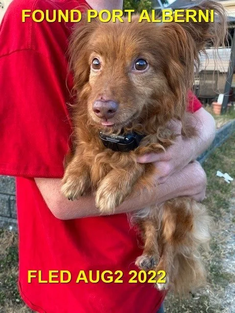 HAPPY ENDINGS - PORT ALBERNI BC. / AUG. 2, 2022