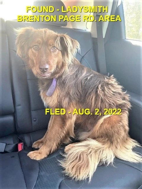 HAPPY ENDINGS - LADYSMITH BC. / AUG. 2, 2022