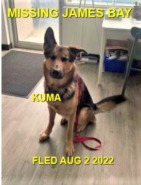 HAPPY ENDINGS - VICTORIA BC. / KUMA / AUG. 2, 2022