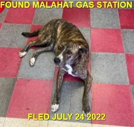 HAPPY ENDINGS - MALAHAT BC. / JULY 24, 2022