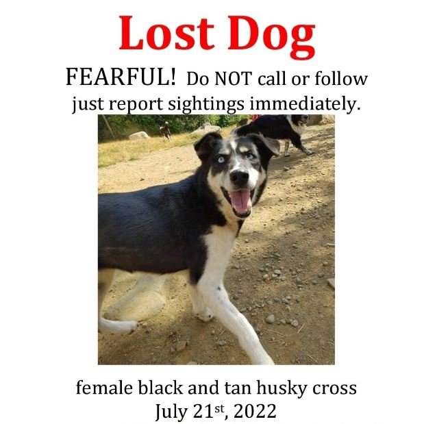 HAPPY ENDINGS - CUMBERLAND BC. / MADDIE / JULY 21, 2022