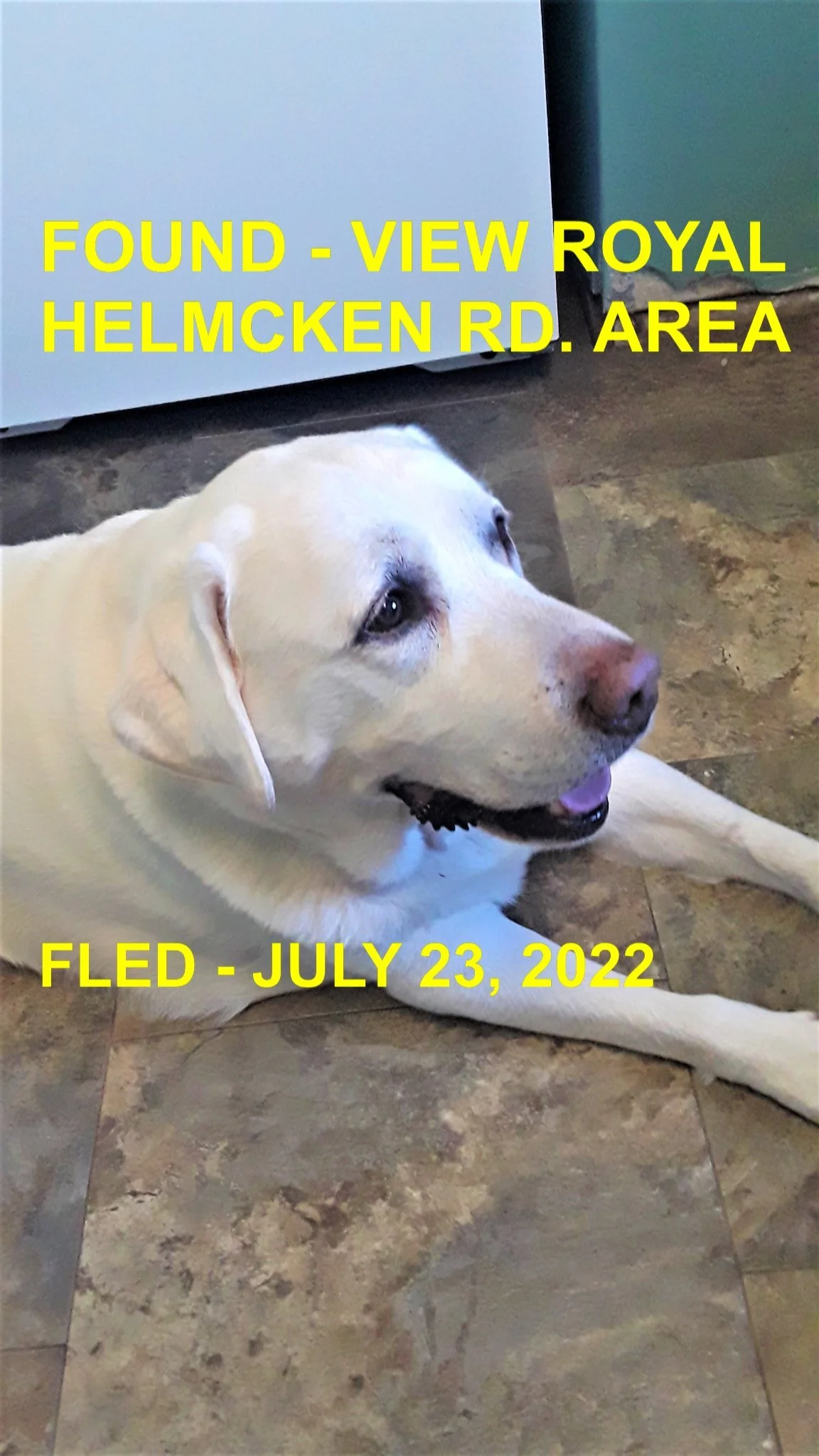 HAPPY ENDINGS - VIEW ROYAL BC. / JULY 23, 2022