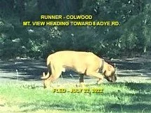 HAPPY ENDINGS - COLWOOD BC. / JULY 22, 2022