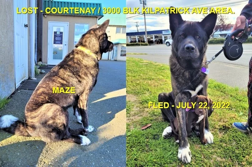 HAPPY ENDINGS - COURTENAY BC. / MAZE / JULY 19, 2022