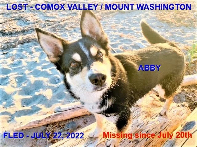 HAPPY ENDINGS - COMOX VALLEY BC. / ABBY / JULY 20, 2022
