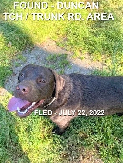 HAPPY ENDINGS - DUNCAN BC. / JULY 22, 2022