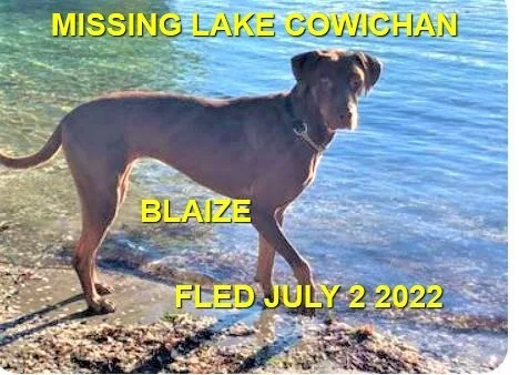 HAPPY ENDINGS - HONEYMOON BAY BC. / BLAIZE / JULY 1, 2022