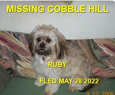 OVER THE RAINBOW BRIDGE - COBBLE HILL BC. / RUBY / MAY 28, 2022