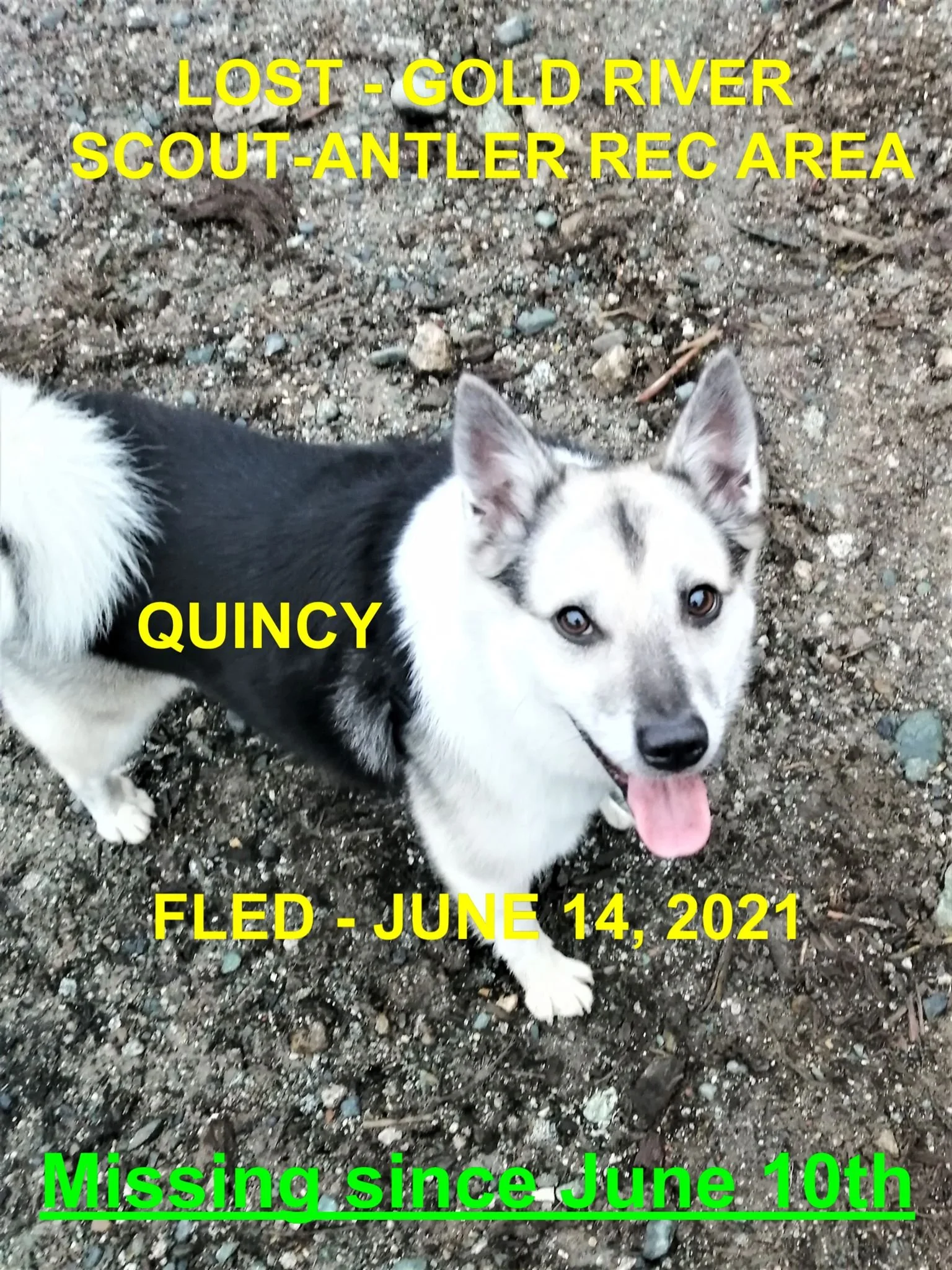 STILL MISSING - GOLD RIVER BC / QUINCY / JUNE 10, 2021