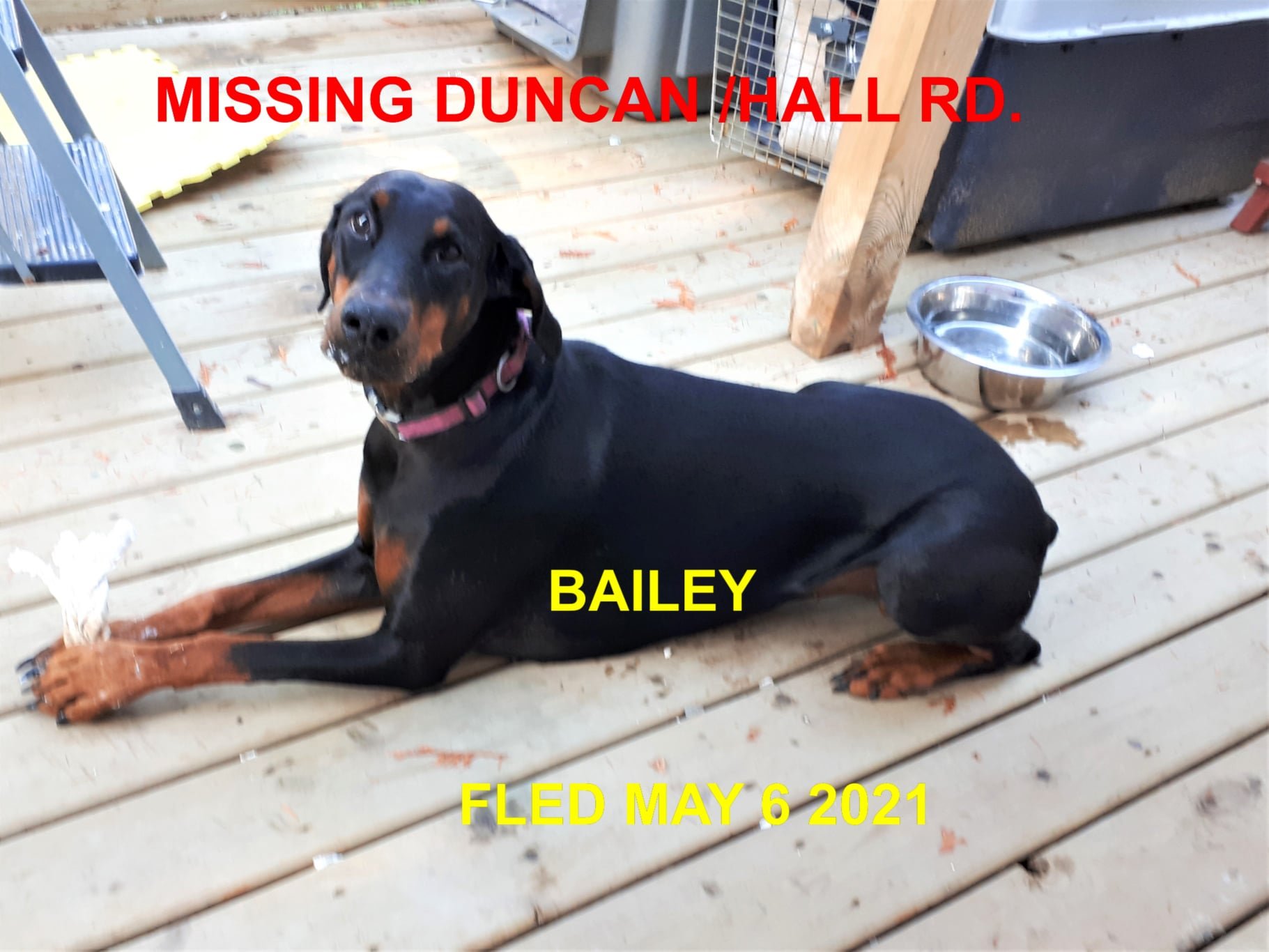 STILL MISSING - DUNCAN BC. / BAILEY / MAY 5, 2021