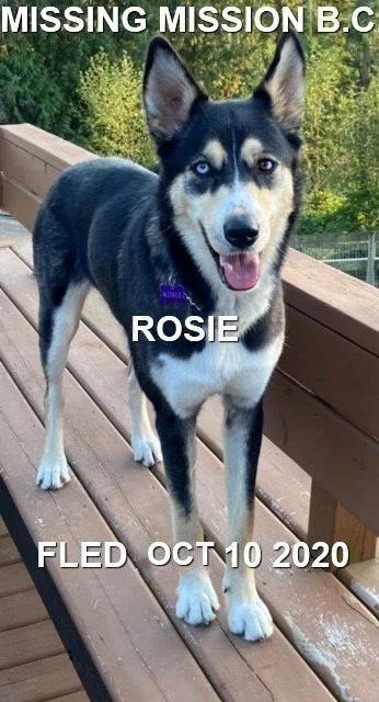 STILL MISSING - MISSION BC. / ROSIE / OCT. 10, 2020