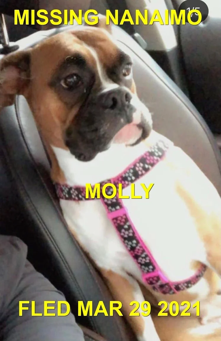 STILL MISSING - NANAIMO BC. / MOLLY / MAR. 29, 2021