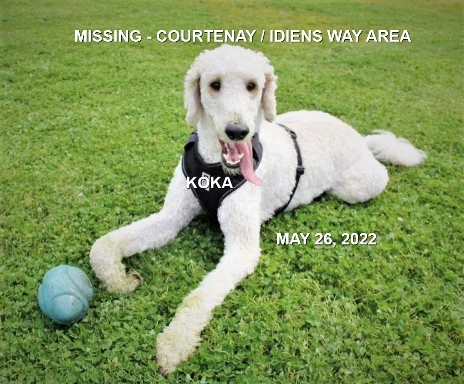 HAPPY ENDINGS - COURTENAY BC. / KOKA / MAY 3, 2022