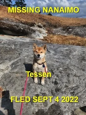 HAPPY ENDINGS - NANAIMO BC. / TESSEN / SEPT. 4, 2022